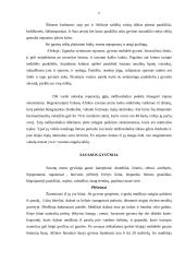 Savanos zonos 6 puslapis