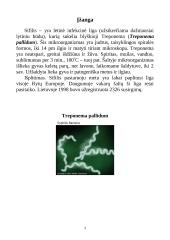 Sifilis ir jo gydymas 3 puslapis