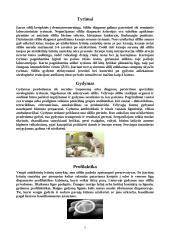 Sifilis ir jo gydymas 7 puslapis