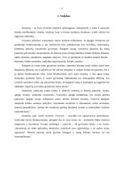 Simbolika lietuvių vestuvėse 3 puslapis