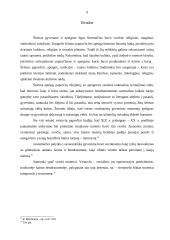 Simbolika lietuvių vestuvėse 9 puslapis