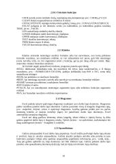 Skaičiuoklė MS Excel. Bendra apžvalga 11 puslapis