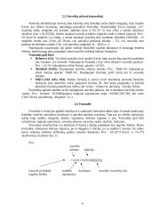 Skaičiuoklė MS Excel. Bendra apžvalga 7 puslapis