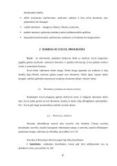 MS Excel - bendra apžvalga 4 puslapis