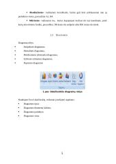 MS Excel - bendra apžvalga 5 puslapis