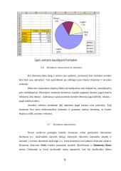 MS Excel - bendra apžvalga 9 puslapis