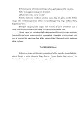 Slaugos misija ir funkcijos 12 puslapis