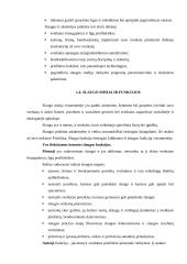 Slaugos misija ir funkcijos 3 puslapis