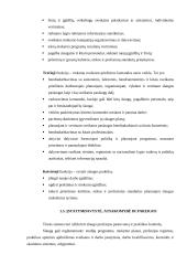 Slaugos misija ir funkcijos 4 puslapis