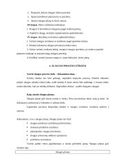 Slaugos misija ir funkcijos 6 puslapis