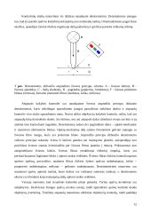 Spaudos procesų kokybės kontrolė 12 puslapis