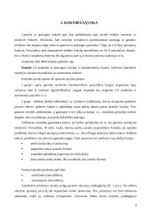 Spaudos procesų kokybės kontrolė 4 puslapis