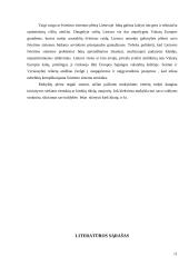 Sprendimų priėmimas ir įgyvendinimas šiuolaikinėje ugdymo institucijoje 11 puslapis