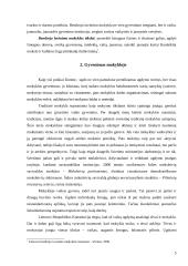 Sprendimų priėmimas ir įgyvendinimas šiuolaikinėje ugdymo institucijoje 5 puslapis