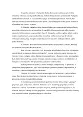 Steponas Kolupaila 6 puslapis