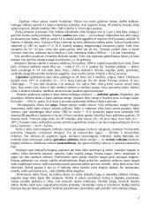 Stichiniai meteorologiniai reiškiniai 2 puslapis