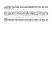 Stichiniai meteorologiniai reiškiniai 3 puslapis