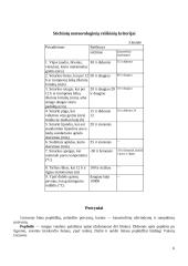 Stichiniai meteorologiniai reiškiniai 6 puslapis