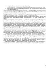 Stichiniai meteorologiniai reiškiniai 8 puslapis