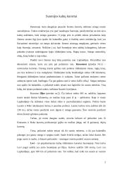 Suomijos turizmas 2 puslapis