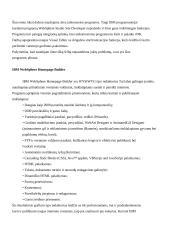 Internetinės svetainės sukūrimo technologijos 12 puslapis