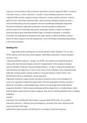 Internetinės svetainės sukūrimo technologijos 8 puslapis