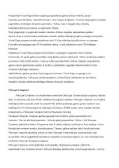 Internetinės svetainės sukūrimo technologijos 10 puslapis