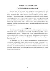 Šeimos šventės. Švenčių klasifikacija 3 puslapis