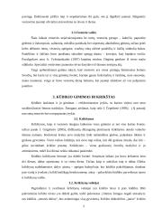 Šeimos šventės. Švenčių klasifikacija 5 puslapis