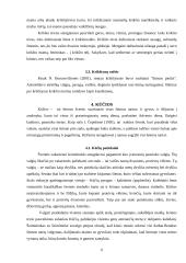 Šeimos šventės. Švenčių klasifikacija 6 puslapis