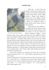 Šiaurės jūra 2 puslapis