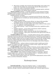 Šizofrenija, jos paplitimas, priežastys, formos, požymiai bei gydymas 4 puslapis