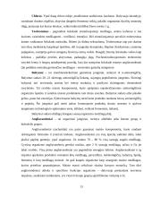 Šokolado sudėtis ir svarba žmogaus organizmui 14 puslapis