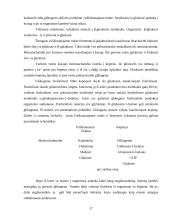 Šokolado sudėtis ir svarba žmogaus organizmui 18 puslapis