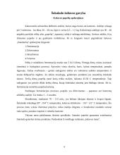 Šokolado sudėtis ir svarba žmogaus organizmui 5 puslapis