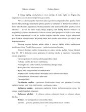 Šokolado sudėtis ir svarba žmogaus organizmui 8 puslapis