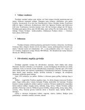 Švedijos geografinė, ekonominė analizė 3 puslapis