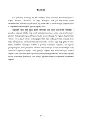 Švedijos ir Norvegijos šalių palyginimas 17 puslapis