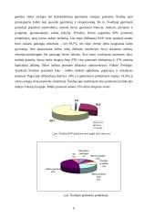 Švedijos ir Norvegijos šalių palyginimas 6 puslapis