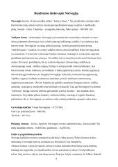 Švedijos ir Norvegijos šalių palyginimas 8 puslapis