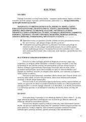 Šveicarija ir Šveicarijos charakteristika 11 puslapis