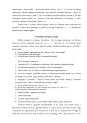 Švenčiausioji Trejybė 6 puslapis