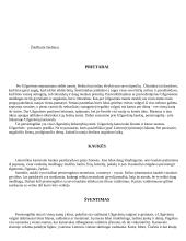 Lietuvos šventės 5 puslapis