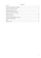 Taikomųjų kompiuterinių programų apžvalga 2 puslapis