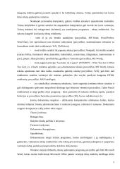 Taikomųjų kompiuterinių programų apžvalga 5 puslapis