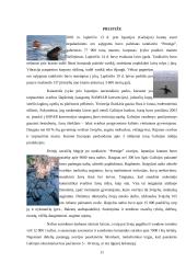 Tanklaivių avarijos pasaulyje 11 puslapis