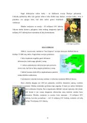 Tanklaivių avarijos pasaulyje 9 puslapis