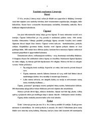 Tautinių mažumų kultūros raida Lietuvoje 4 puslapis