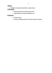 Tautinių mažumų kultūros raida Lietuvoje 8 puslapis