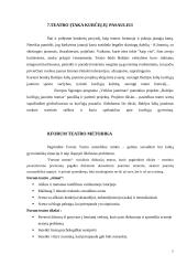 Teatro vaidmuo formuojant jaunąją kartą 7 puslapis